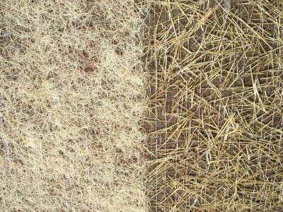 Curlex_CL_Page_Curlex_CL_I_and_SN_Straw_Side-by-Side_large